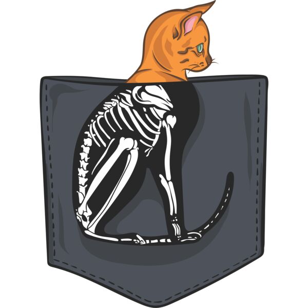 Cat skeleton pocket Thumbnail