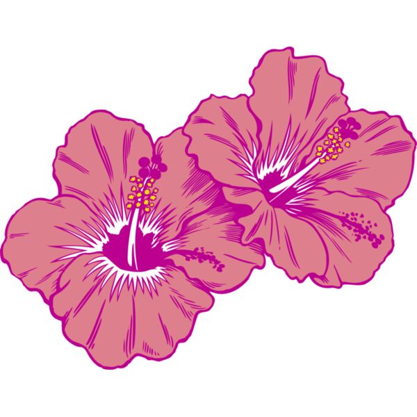 Hibiscus Tropical Thumbnail