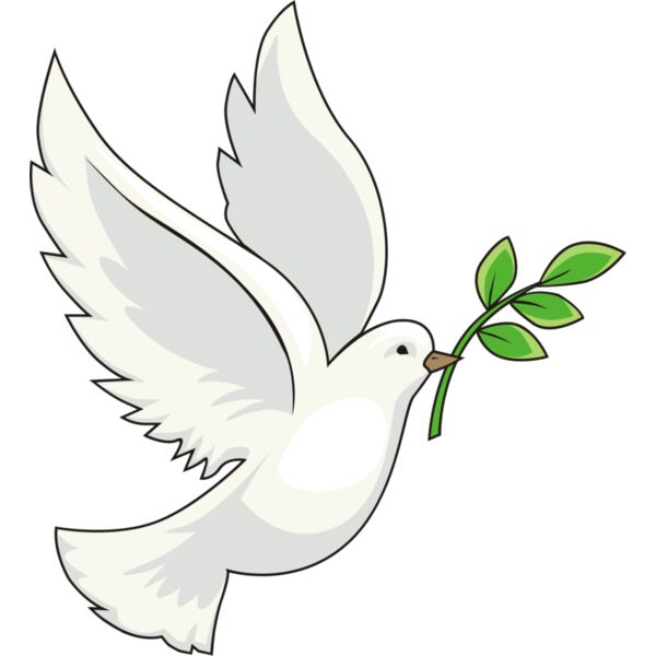 Peace dove olive branch Thumbnail